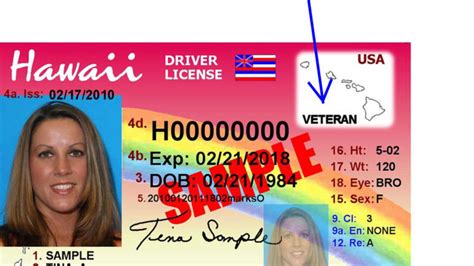 my pvl hawaii license